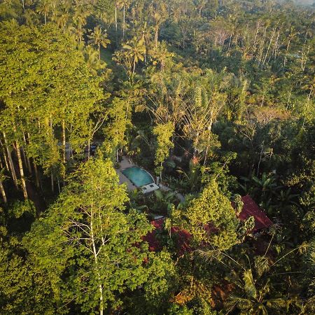 Daydream Lodge Tampaksiring Ngoại thất bức ảnh