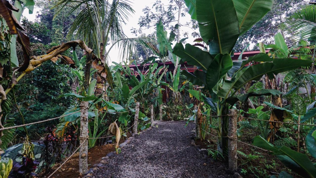 Daydream Lodge Tampaksiring Ngoại thất bức ảnh