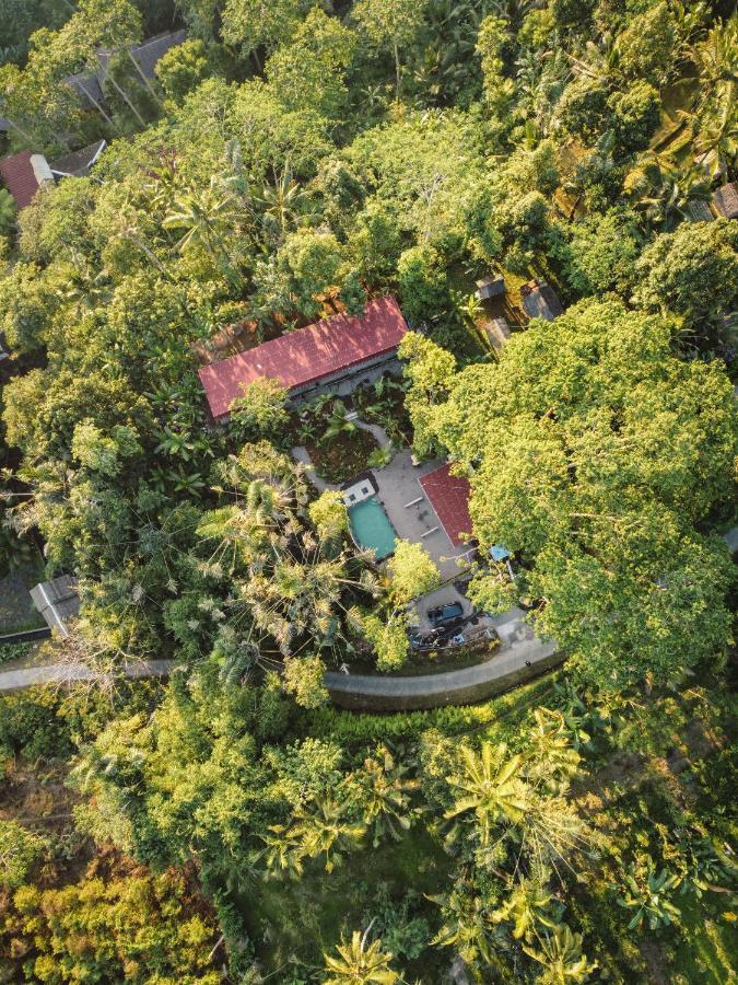 Daydream Lodge Tampaksiring Ngoại thất bức ảnh